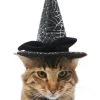 Frisco Cobweb Witch Dog & Cat Hat -Frisco Sales 2024 261109 MAIN. SY630 V1625075886