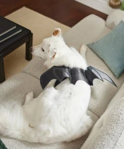 Frisco Bat Wings Dog & Cat Costume -Frisco Sales 2024 261113 PT8. SY630 V1624400379