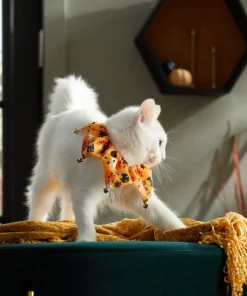 Frisco Whimsical Halloween Cat Collar Ruffle, One Size -Frisco Sales 2024 261120 PT8. SY630 V1624306105