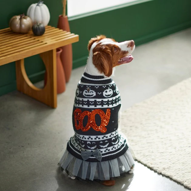 Frisco "Boo!" Dog & Cat Sweater Dress 9 Frisco "Boo!" Dog & Cat Sweater Dress - Image 7