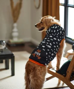 Frisco Glow in the Dark "All Eyes On Me" Dog & Cat Hoodie 19 Frisco Glow in the Dark "All Eyes On Me" Dog & Cat Hoodie -Frisco Sales 2024 261155 PT8. SY630 V1624337335