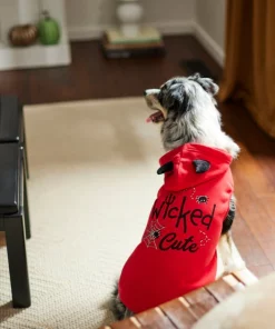 Frisco Wicked Cute Dog & Cat Hoodie -Frisco Sales 2024 261158 PT8. SY630 V1624398178