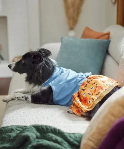 Frisco Chambray Halloween Dog & Cat Dress -Frisco Sales 2024 261165 PT5. SY630 V1633067792