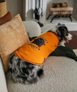 Frisco Sequin Let's Get Spooky Dog & Cat T-Shirt -Frisco Sales 2024 261179 PT5. SY630 V1637676402