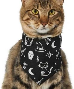 Frisco Glow in the Dark Mystical Print Dog & Cat Bandana -Frisco Sales 2024 261218 PT2. SY630 V1633086982