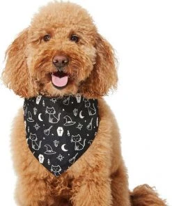 Frisco Glow in the Dark Mystical Print Dog & Cat Bandana -Frisco Sales 2024 261218 PT3. SY630 V1633068720