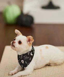 Frisco Glow in the Dark Mystical Print Dog & Cat Bandana -Frisco Sales 2024 261218 PT5. SY630 V1633057869