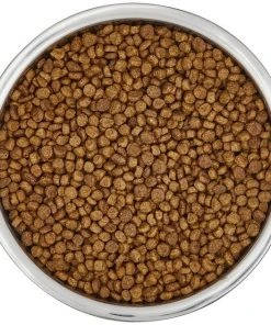 Frisco Insulated Non-Skid Flair Stainless Steel Dog & Cat Bowl, Stainless Steel -Frisco Sales 2024 261753 PT4. SY630 V1623937583