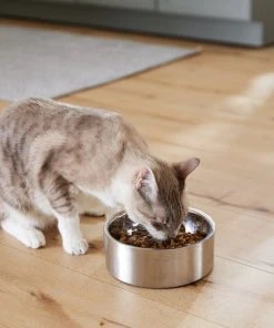 Frisco Insulated Non-Skid Flair Stainless Steel Dog & Cat Bowl, Stainless Steel -Frisco Sales 2024 261753 PT7. SY630 V1623937560