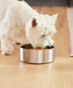 Frisco Insulated Non-Skid Flair Stainless Steel Dog & Cat Bowl, Stainless Steel -Frisco Sales 2024 261753 PT8. SY630 V1623937545