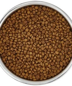 Frisco Insulated Non-Skid Stainless Steel Dog & Cat Bowl, Stainless Steel -Frisco Sales 2024 261756 PT4. SY630 V1623937394