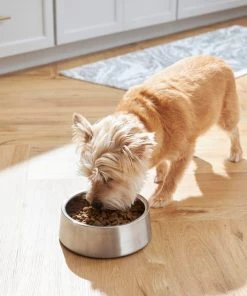Frisco Insulated Non-Skid Stainless Steel Dog & Cat Bowl, Stainless Steel -Frisco Sales 2024 261756 PT5. SY630 V1623937574