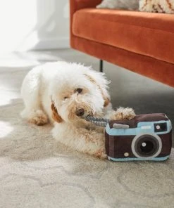 Frisco Road Trip Camera Plush with Rope Squeaky Dog Toy -Frisco Sales 2024 261988 PT3. SY630 V1618598705