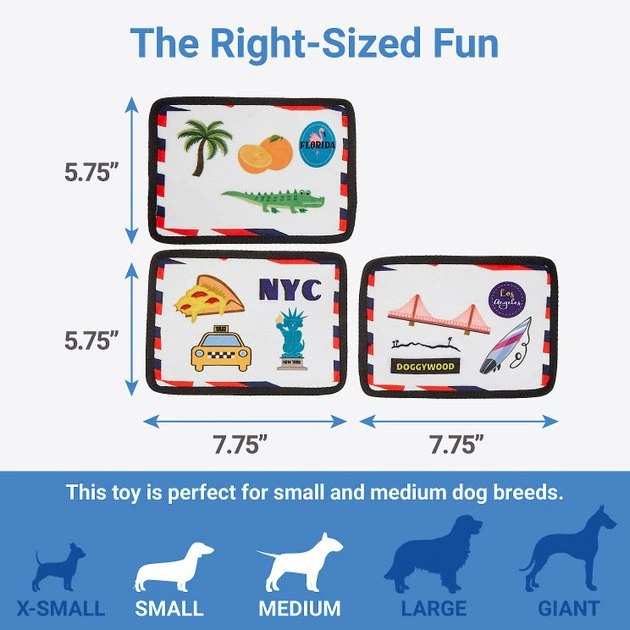 Frisco Road Trip Postcards Flat Plush Squeaky Dog Toy, 3 count 4 Frisco Road Trip Postcards Flat Plush Squeaky Dog Toy, 3 count - Image 2