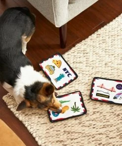 Frisco Road Trip Postcards Flat Plush Squeaky Dog Toy, 3 count 9 Frisco Road Trip Postcards Flat Plush Squeaky Dog Toy, 3 count -Frisco Sales 2024 262005 PT3. SY630 V1618598296