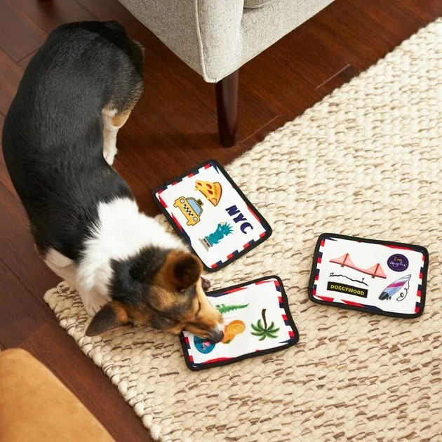 Frisco Road Trip Postcards Flat Plush Squeaky Dog Toy, 3 count 6 Frisco Road Trip Postcards Flat Plush Squeaky Dog Toy, 3 count - Image 4