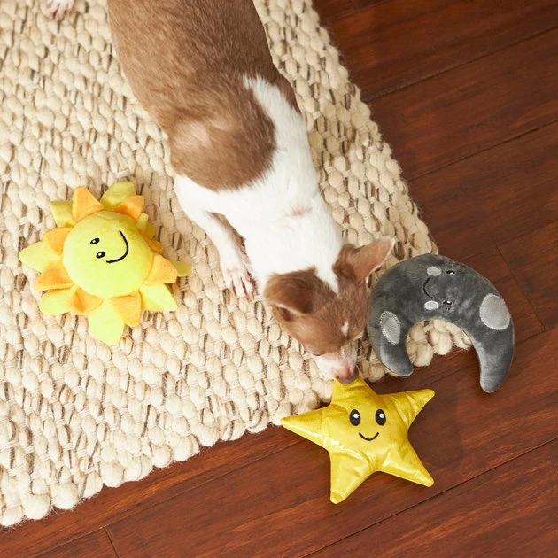 Frisco Road Trip Sun, Moon, & Star Plush Squeaky Dog Toy, 3 count 5 Frisco Road Trip Sun, Moon, & Star Plush Squeaky Dog Toy, 3 count - Image 3