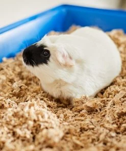 Frisco Small Pet Bedding, Natural, 2 pack, 36-L -Frisco Sales 2024 263928 PT5. SY630 V1625589904