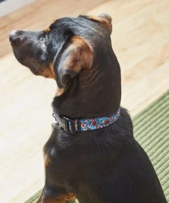 Frisco Hawaii Nights Dog Collar -Frisco Sales 2024 264067 PT3. SY630 V1616768846