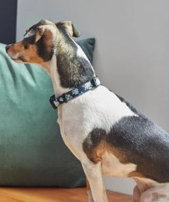 Frisco Evening Floral Dog Collar 9 Frisco Evening Floral Dog Collar -Frisco Sales 2024 264085 PT3. SY630 V1616776141