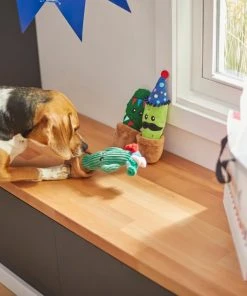 Frisco Birthday Cactus Plush Squeaky Dog Toy, 3 count -Frisco Sales 2024 264426 PT3. SY630 V1619474032