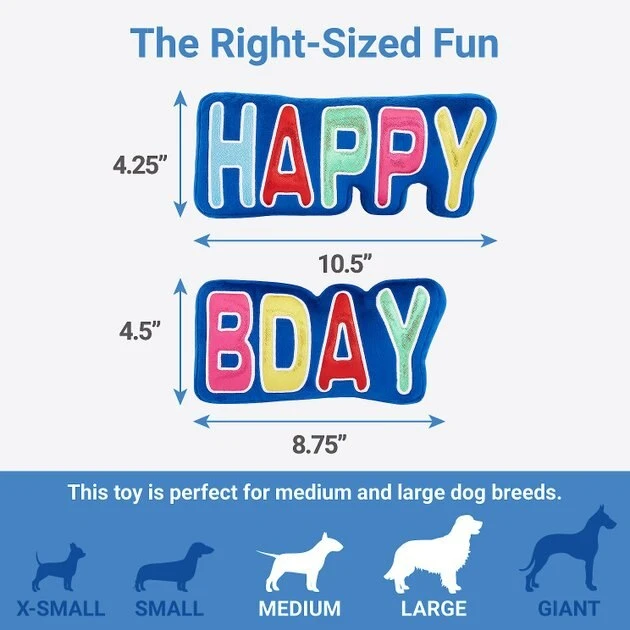 Frisco Happy Birthday Plush Dog Toy 4 Frisco Happy Birthday Plush Dog Toy - Image 2