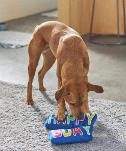 Frisco Happy Birthday Plush Dog Toy 7 Frisco Happy Birthday Plush Dog Toy -Frisco Sales 2024 264428 PT3. SY630 V1619474117