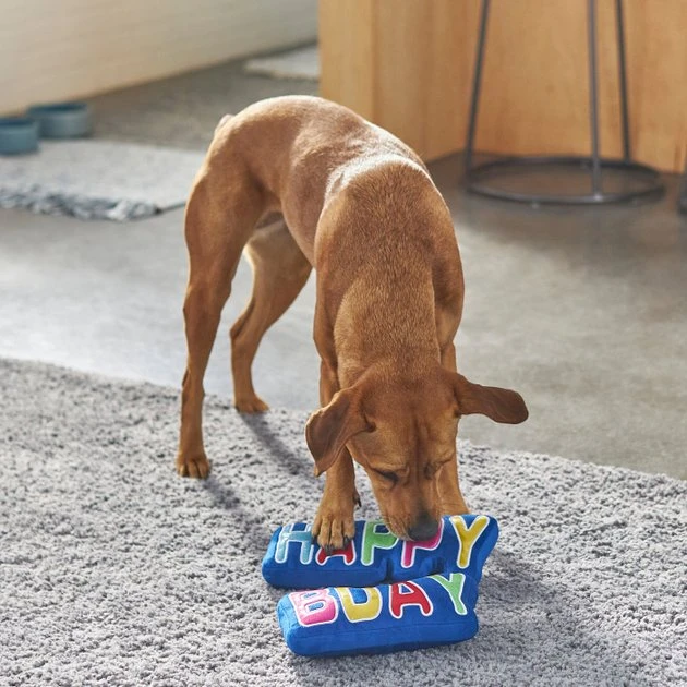 Frisco Happy Birthday Plush Dog Toy 5 Frisco Happy Birthday Plush Dog Toy - Image 3
