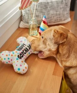 Frisco Birthday Reversible Plush Bone Squeaky Dog Toy 9 Frisco Birthday Reversible Plush Bone Squeaky Dog Toy -Frisco Sales 2024 264432 PT3. SY630 V1619474112