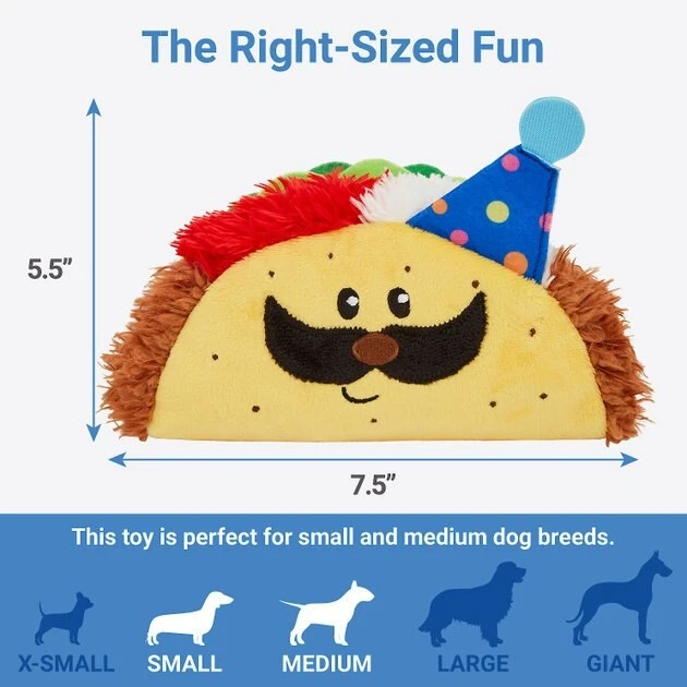 Frisco Birthday Taco Plush Squeaky Dog Toy 4 Frisco Birthday Taco Plush Squeaky Dog Toy - Image 2