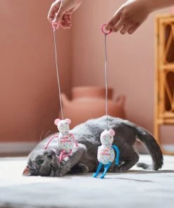 Frisco Birthday Bouncy Mouse Cat Toy, 2 count 7 Frisco Birthday Bouncy Mouse Cat Toy, 2 count -Frisco Sales 2024 264450 PT3. SY630 V1618948718