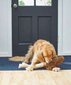 Frisco Magic Broom Plush Squeaky Dog Toy 7 Frisco Magic Broom Plush Squeaky Dog Toy -Frisco Sales 2024 265598 PT3. SY630 V1620938980