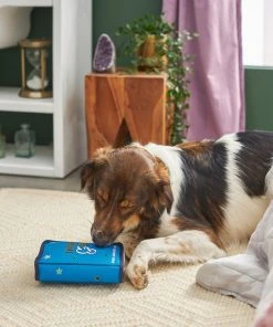 Frisco Magic Spell Book Plush Squeaky Dog Toy 7 Frisco Magic Spell Book Plush Squeaky Dog Toy -Frisco Sales 2024 265608 PT3. SY630 V1620939089