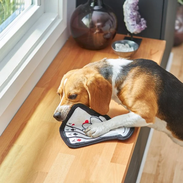 Frisco Magic Lucky Aces Flat Plush Squeaky Dog Toy 6 Frisco Magic Lucky Aces Flat Plush Squeaky Dog Toy - Image 4