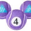 Frisco Magic Fortune Fetch Squeaky Tennis Ball Dog Toy, 3 count