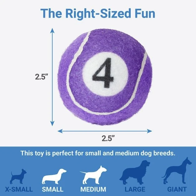 Frisco Magic Fortune Fetch Squeaky Tennis Ball Dog Toy, 3 count 4 Frisco Magic Fortune Fetch Squeaky Tennis Ball Dog Toy, 3 count - Image 2