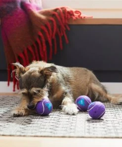 Frisco Magic Fortune Fetch Squeaky Tennis Ball Dog Toy, 3 count 7 Frisco Magic Fortune Fetch Squeaky Tennis Ball Dog Toy, 3 count -Frisco Sales 2024 265620 PT3. SY630 V1623352072