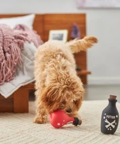 Frisco Magic Potions Latex Squeaky Dog Toy, 2 count -Frisco Sales 2024 265632 PT3. SY630 V1620939021