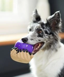 Frisco Magic Fortune Teller's Crystal Ball Latex Squeaky Dog Toy -Frisco Sales 2024 265634 PT3. SY630 V1623352126