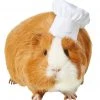 Frisco Chef Guinea Pig Costume Hat, One Size -Frisco Sales 2024 265887 MAIN. SY630 V1624307870