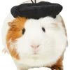 Frisco French Beret Guinea Pig Costume Hat, One Size 2 Frisco French Beret Guinea Pig Costume Hat, One Size -Frisco Sales 2024 265891 MAIN. SY630 V1624305182