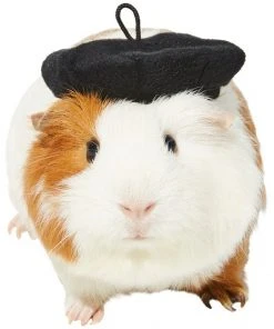 Frisco French Beret Guinea Pig Costume Hat, One Size