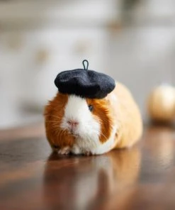 Frisco French Beret Guinea Pig Costume Hat, One Size -Frisco Sales 2024 265891 PT8. SY630 V1624337078