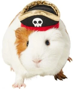 Frisco Pirate Guinea Pig Costume Hat, One Size