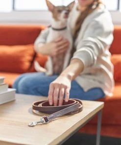 Frisco Top Grain Leather Leash -Frisco Sales 2024 266521 PT3. SY630 V1619536628