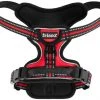 Frisco Padded Reflective Harness