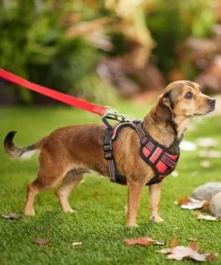 Frisco Padded Reflective Harness 10 Frisco Padded Reflective Harness -Frisco Sales 2024 266762 PT2. SY630 V1624542591