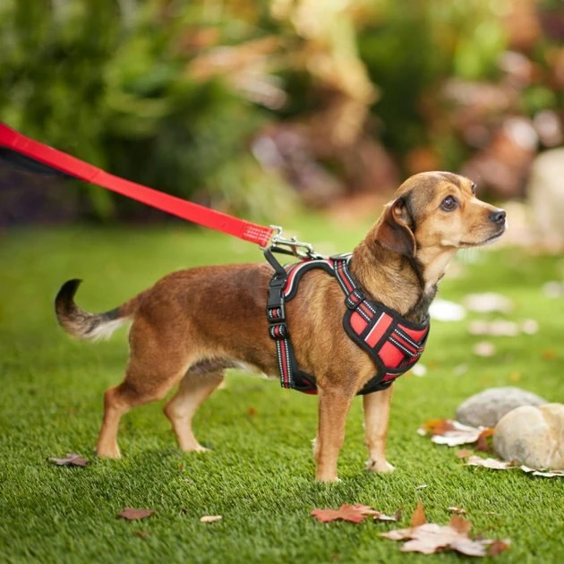 Frisco Padded Reflective Harness 5 Frisco Padded Reflective Harness - Image 3