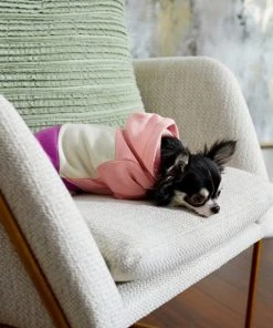 Frisco Colorblock Dog & Cat Hoodie with Sleeves 16 Frisco Colorblock Dog & Cat Hoodie with Sleeves -Frisco Sales 2024 267963 PT6. SY630 V1637683593