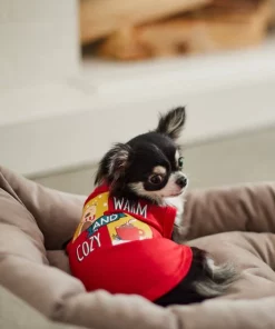 Frisco Warm & Cozy Dog & Cat T-Shirt 15 Frisco Warm & Cozy Dog & Cat T-Shirt -Frisco Sales 2024 268582 PT8. SY630 V1629758261